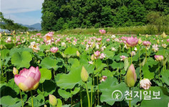 경남 1호 지방정원·사계절 생태공원 거창창포원 15일 개장