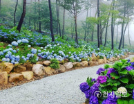 전남도, 여름철 비대면 안심 관광지 25선에 전남 4곳 최다