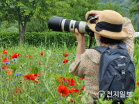 {천지포토} 물의 정원, 양귀비에 취해