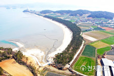 무안군 해제 송계 솔바람길 걷고 싶은 전남 숲길로 선정