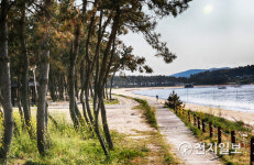 무안군 '해제 송계 솔바람길' 걷고 싶은 전남 숲길로 선정