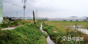 장성군, 94억원 투입… 삼서천 수해 방지 총력