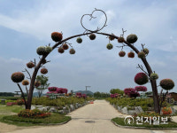 [천지 포토] 초록의 멋진 시흥갯골생태공원