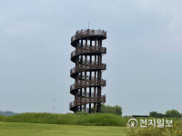 [천지 포토] 초록의 멋진 시흥갯골생태공원