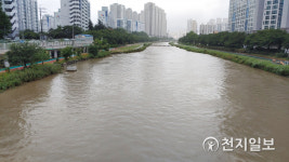 [천지포토] 수위 높아진 온천천 시민공원