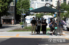 [천지포토] 그늘이 필요해