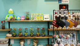 정선군, 고한 야생화마을 4남매 캐릭터 판매