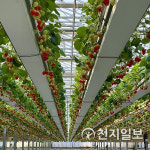 KOTRA, 농업대국 호주에 K스마트팜 수출 길 열다