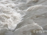 태풍 오마이스 영향, 대전·세종·충청 호우주의보… 충북 최대 100mm 