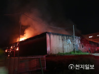 천안 병천 돼지농장 화재… 새끼돼지 6000여마리 소사