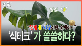 [줌IN] 햇빛 물 바람이면 오케이… 식테크가 쏠쏠?