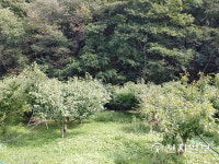 [탐방] 청주 청남대 무료 캠핑장·텐트 하우스서 웰빙푸드·낭만 즐겨요   