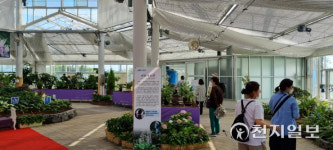 신안군, 한여름에 피는 새우난초 전시 한달 간 선보여