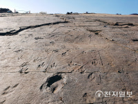 진주 공룡·익룡발자국 화석산지 천연기념물 됐다