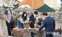 [천지포토] 세종시 '침산추월'을 찾은 이춘희 시장