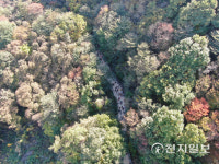 하동군, 지리산 회남재 숲길 비대면 걷기 행사