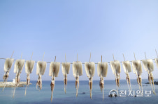 '오징어 게임' 흥행… 한의학에서 본 오징어 효능은?