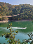 [지역탐방] 제천 옥순봉 출렁다리 건너보니… 청풍호에 떨어질 듯 짜릿