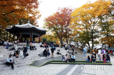 [천지포토] 울긋불긋 단풍 아래 가을 정취 만끽