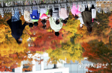 [천지포토] 일상회복 첫날의 가을 수채화