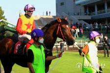최고의 경마축제 코리안더비, 국산 3세 최고마 가린다… 히트예감 삼관마 될까