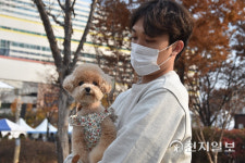 [천지포토] 대전 반려동물문화축제… 순자야, 카메라 좀 봐