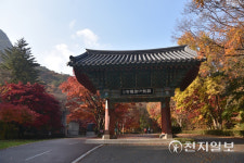 [천지포토] 공주 계룡산 동학사 단풍