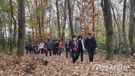 목포시, 양을산 맨발로 청춘길 조성