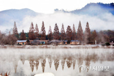 [천지포토] 가을, 오봉제 메타세쿼이아 가로수 반영