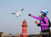 [지역명소] 경기 둘레길, 끊겼던 경기도 15개 시·군 외곽도로 860㎞ 굽이굽이 절경