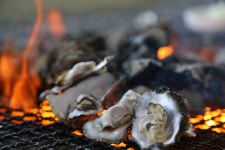 장흥에서 맛 보는 겨울철 별미 굴, 매생이