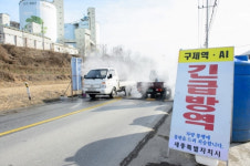 세종시 산란계 농장서 고병원성 AI 의심 사례 발생 방역비상