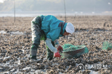 머드맥스로 유명세 탄 갯벌어로, 국가무형문화재 됐다