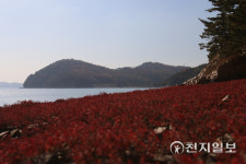 [지역명소] 서산 아라메길 산과 바다가 만나고 굽이굽이 자연과 나 자신이 만나는 길