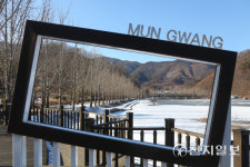 [천지포토] 괴산 문광면 은행나무길 겨울풍경