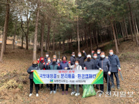 함평군 대동면, 주민 주도로 향교리 편백숲 가꿔