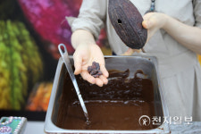 곡성군, KTX열차·기차마을·초콜릿 체험 할인 행사