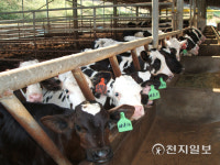 남원시, 가축사육환경 개선… 축산경쟁력 키운다