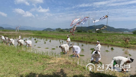 경남도, 의령·함안·산청 혁신新사업에 선정