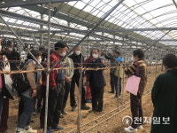 강진군, 샤인머스켓 포도 농가 전문 교육 시행