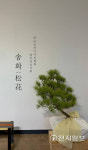 한국의 멋·전통미 살린 보자기… 송화(松花)와 어우러진 이색 전시