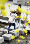 [천지포토] 산수유 사이로 산책