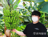 [지역탐방] 국산 바나나 재배 도전한 청년농장지기 전문성과 홍보가 살 길