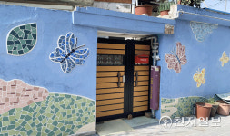 [탐방] 사계절 벚꽃 피는 창작농성골 개발에 벚나무 사라져 아쉬워