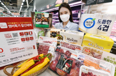 [대형마트에서는] 롯데마트 참두릅·엄나무순 행사 진행 外 홈플러스, 이마트