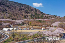 진주시, 글램핑·콘도 갖춘 월아산 자연휴양림 운영 개시