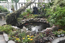 [지역명소] 대전 한밭수목원 푸르름 만끽, 봄을 마신다… 열대식물원 촉촉한 공기 재충전