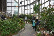 [지역명소] 대전 한밭수목원 푸르름 만끽, 봄을 마신다… 열대식물원 촉촉한 공기 재충전