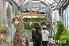 [지역명소] 대전 한밭수목원 푸르름 만끽, 봄을 마신다… 열대식물원 촉촉한 공기 재충전