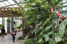 [지역명소] 대전 한밭수목원 푸르름 만끽, 봄을 마신다… 열대식물원 촉촉한 공기 재충전